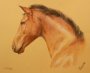 Horse Portraits Pastels, hand painted
