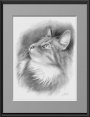 Katzenportrait, Bleistiftzeichnung handgeferigt